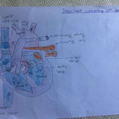 tsa_HomeLearningScience (54)